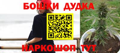 индика Заводоуковск