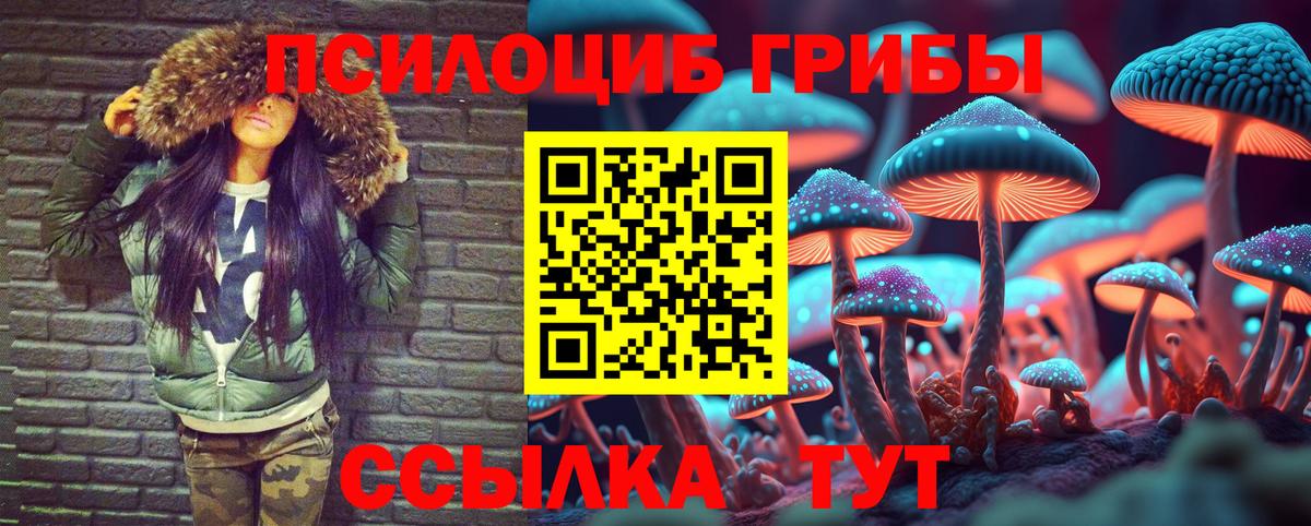 Псилоцибиновые грибы мухоморы  Галлюциногенные грибы Cubensis  Магадан  Вход с VPN 